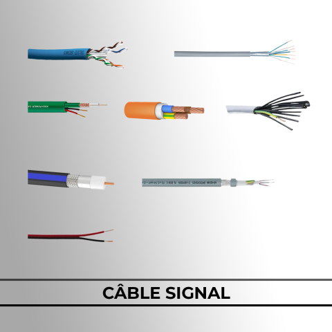 Câble Signal
