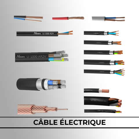 Câble électrique